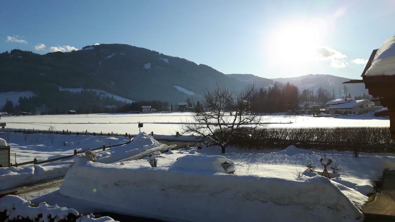 Sunside Wiesersberg - Saalfelden Leogang المظهر الخارجي الصورة